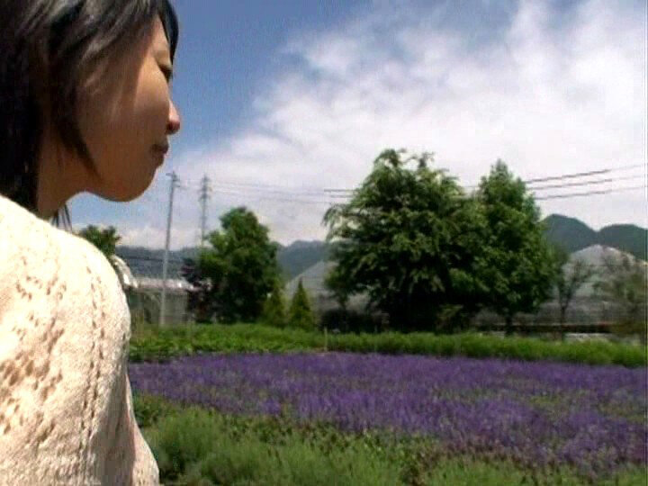 サンプル画像 3