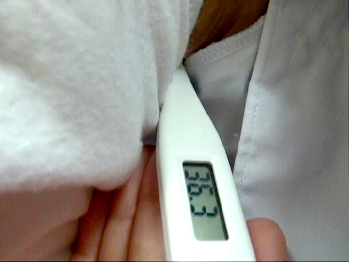 サンプル画像 6