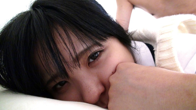 サンプル画像 8