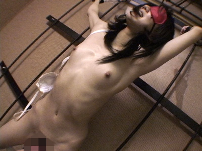 サンプル画像 4