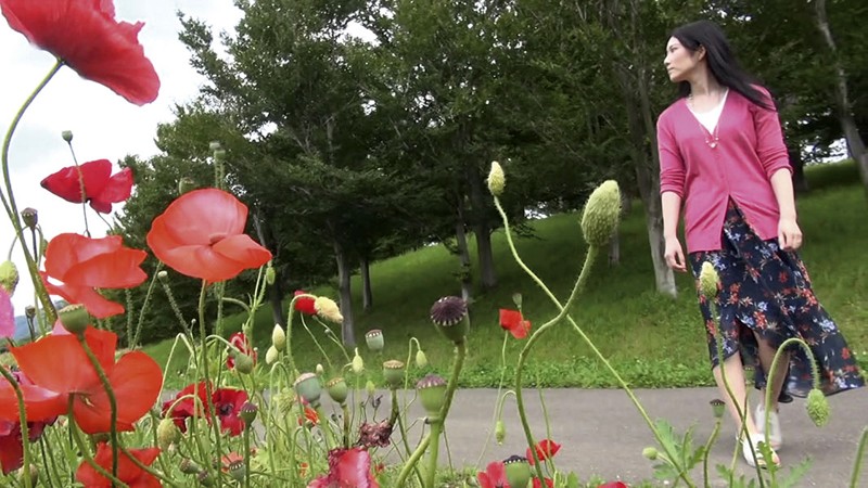 サンプル画像 2