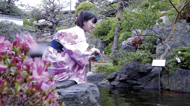 サンプル画像 12