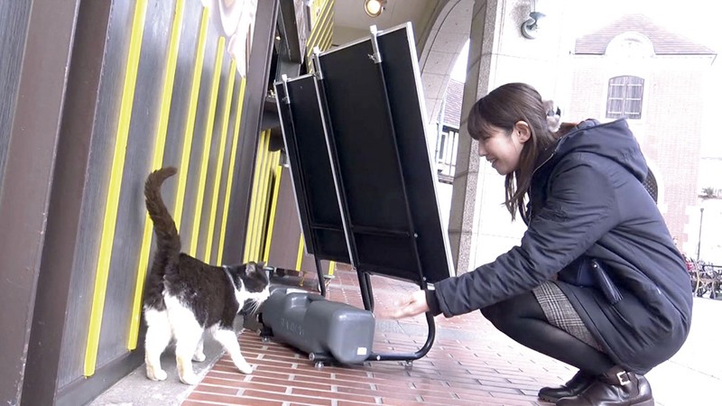 サンプル画像 2