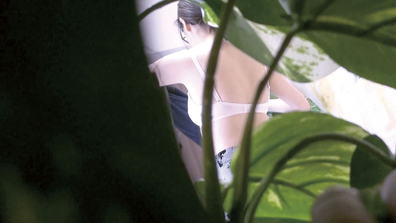 サンプル画像 16