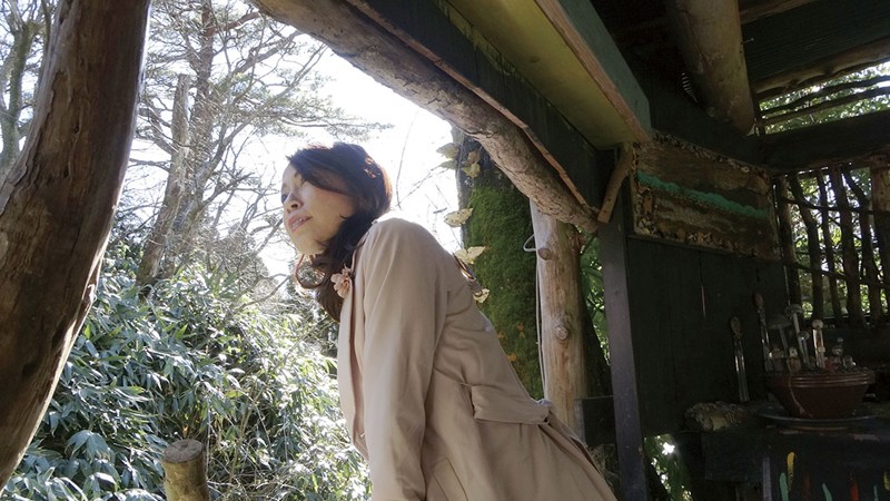 サンプル画像 2