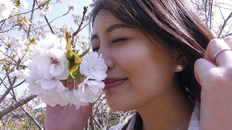 サンプル画像 2