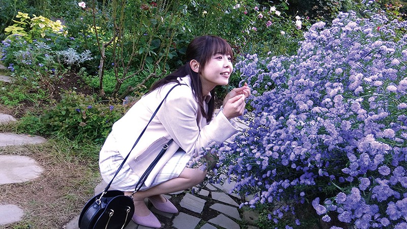 サンプル画像 2