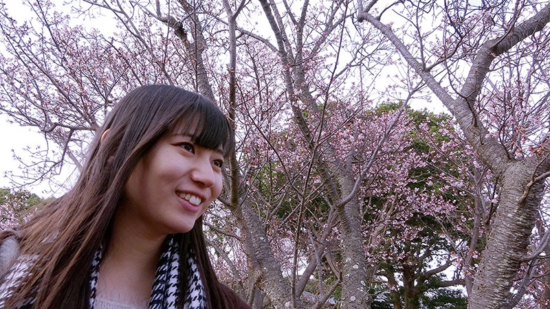 サンプル画像 2