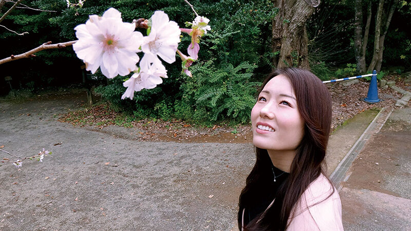 サンプル画像 2