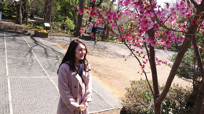 サンプル画像 2