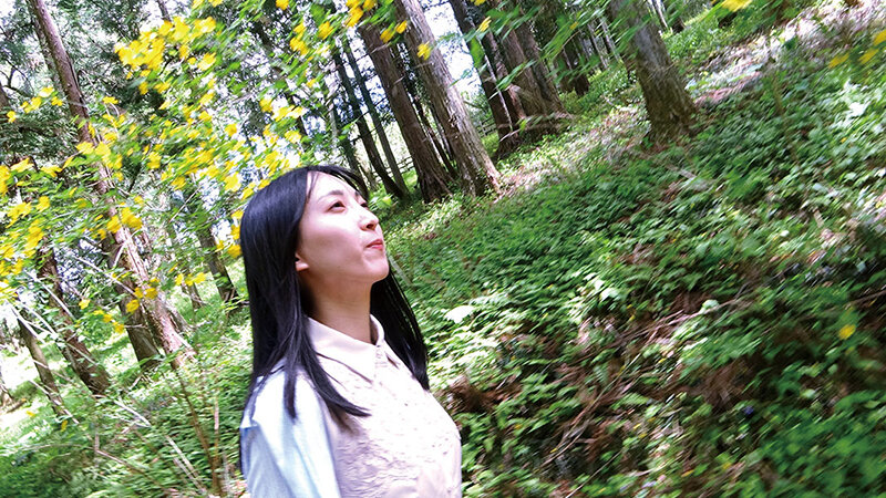 サンプル画像 2