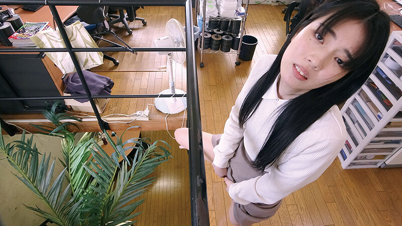 サンプル画像 6