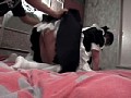 サンプル画像 30