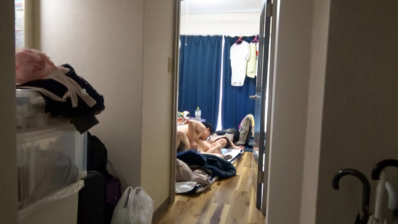 サンプル画像 13