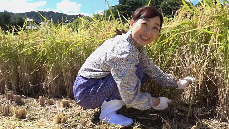 サンプル画像 11