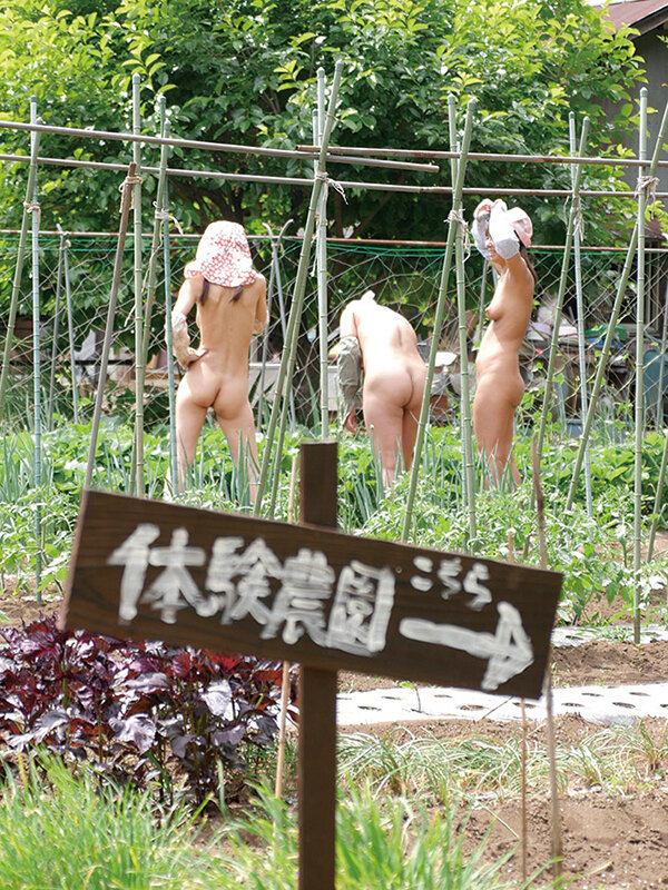 サンプル画像 2