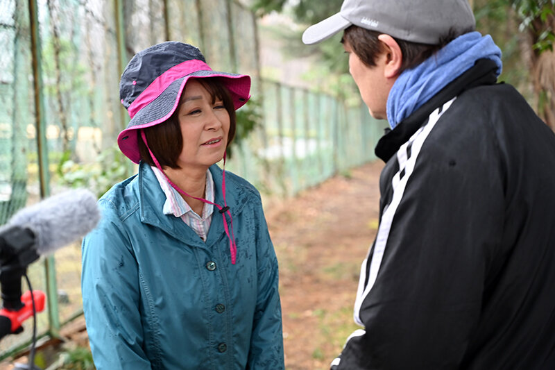 サンプル画像 6