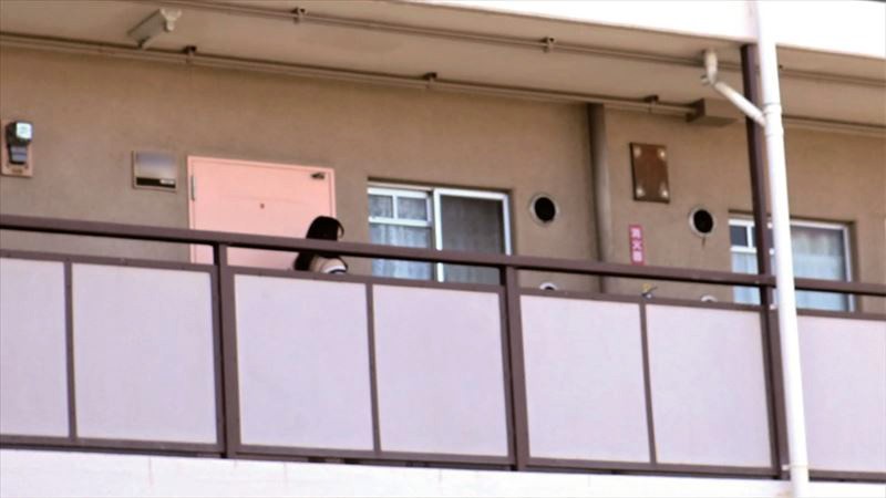 サンプル画像 2