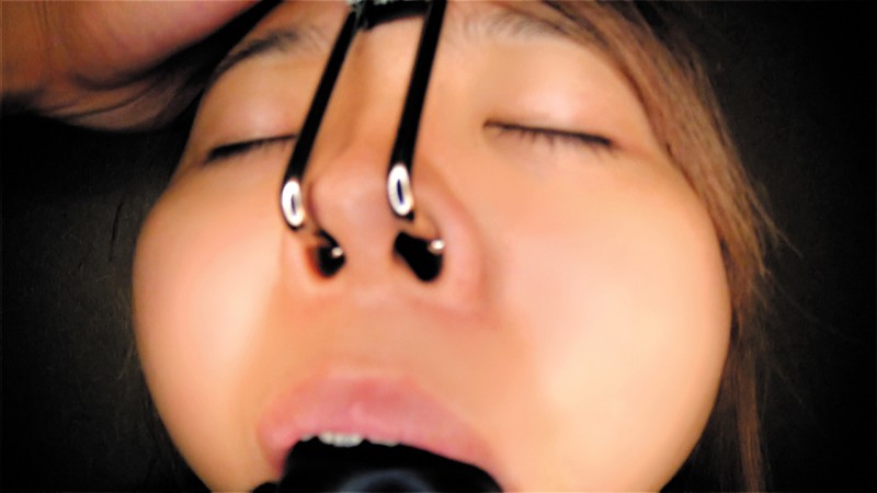 サンプル画像 13