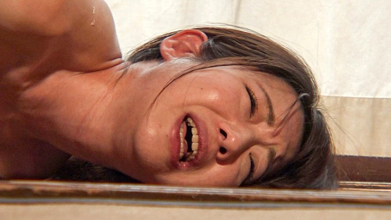 サンプル画像 19