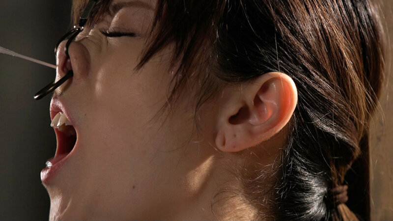 サンプル画像 11