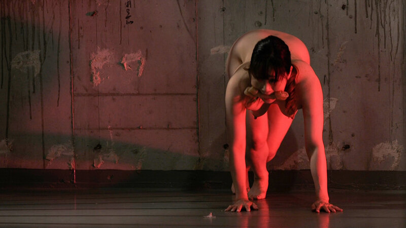 サンプル画像 10