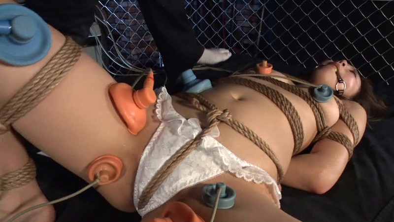 サンプル画像 17