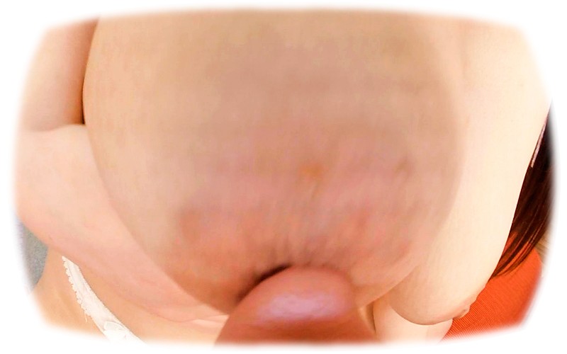 サンプル画像 7