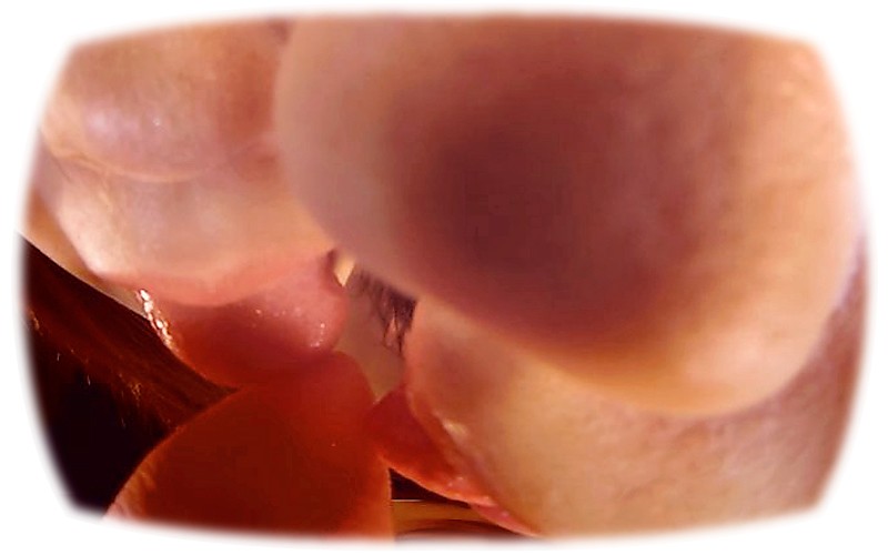 サンプル画像 3