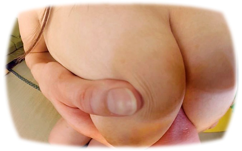 サンプル画像 5