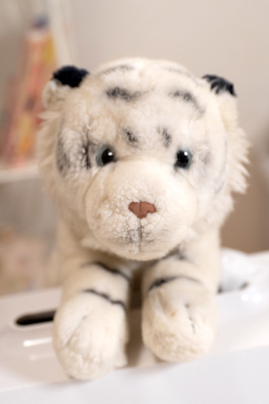 サンプル画像 21