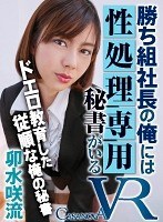 パッケージ画像