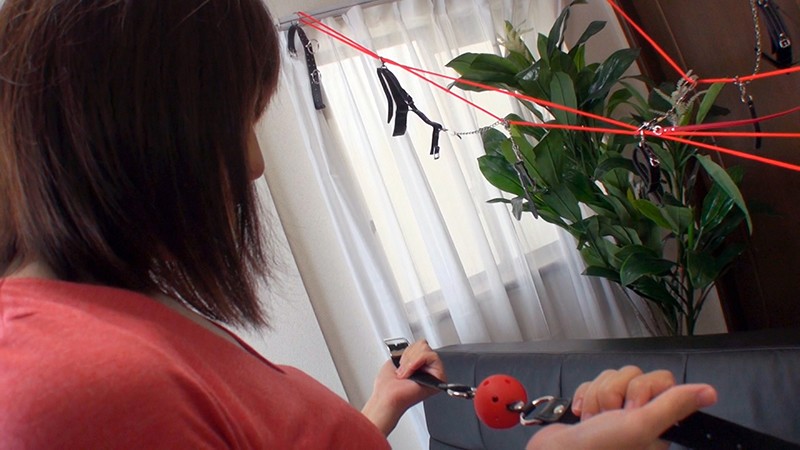 サンプル画像 3