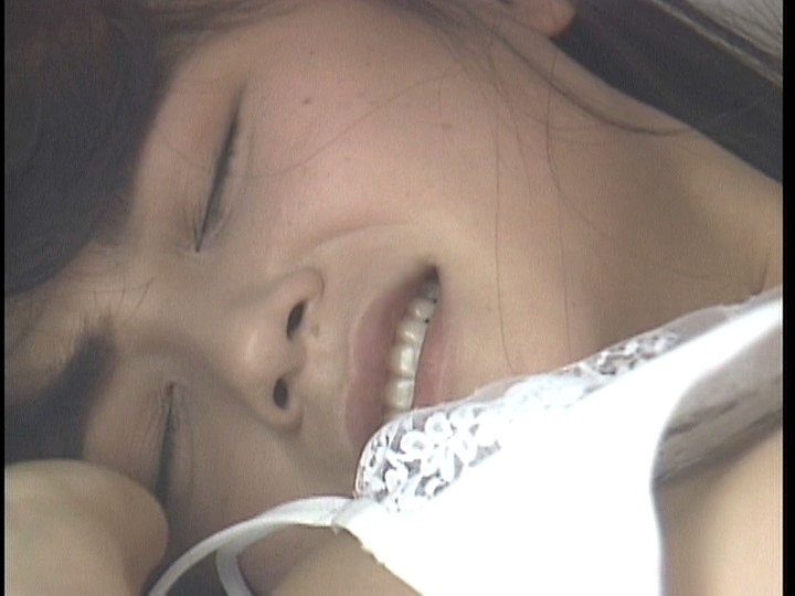 サンプル画像 13