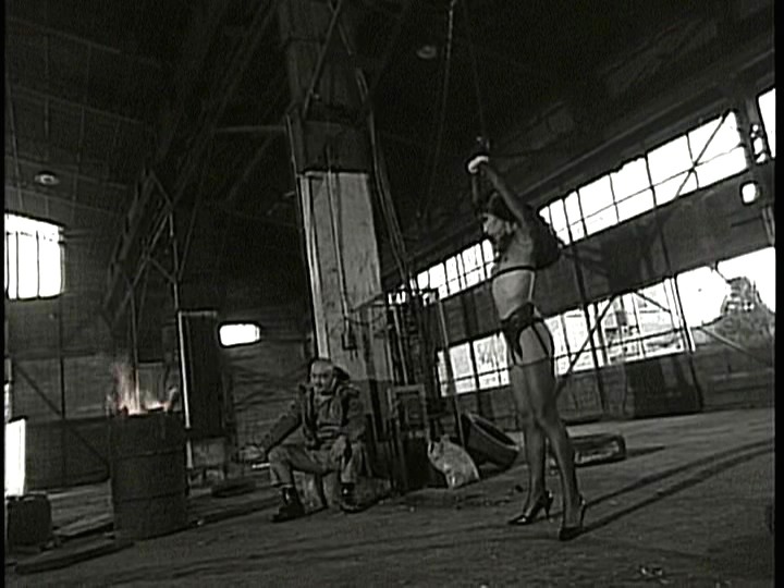 サンプル画像 11