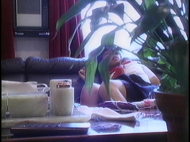 サンプル画像 13