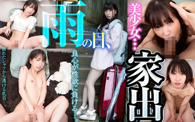 サンプル画像 12