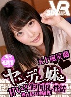パッケージ画像