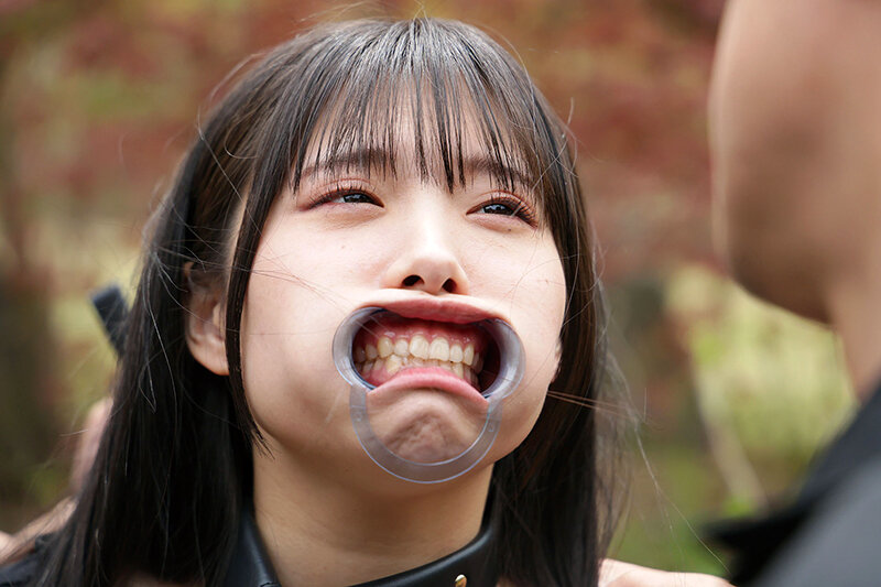 サンプル画像 3