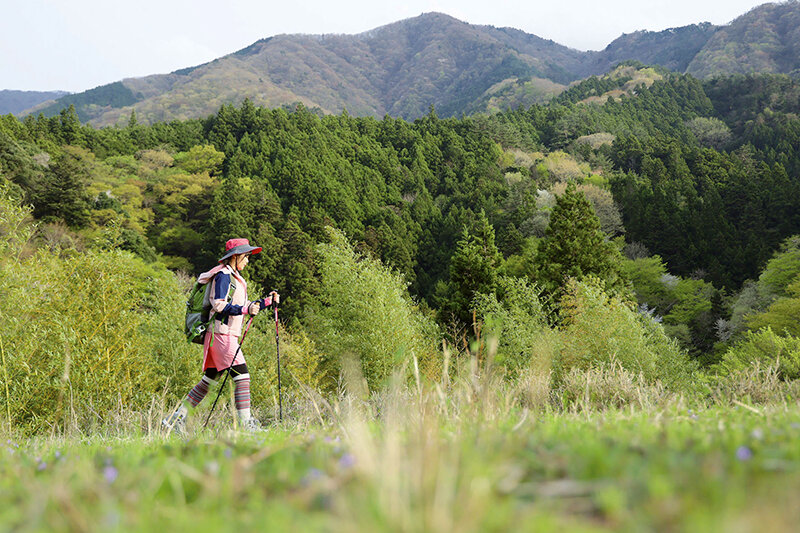 サンプル画像 2