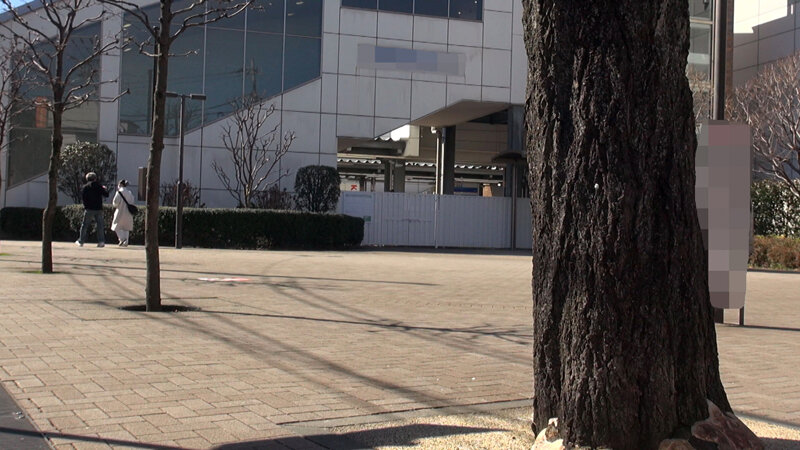 サンプル画像 4