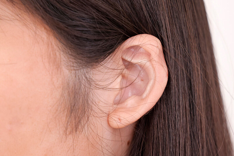 サンプル画像 12