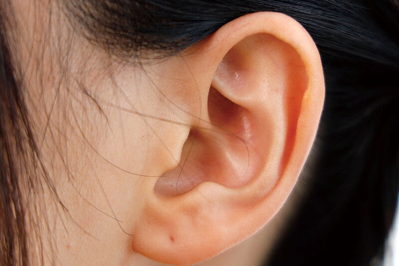 サンプル画像 11