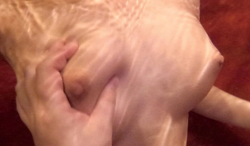 サンプル画像 13