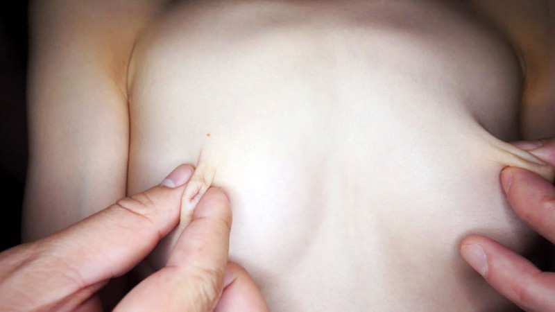 サンプル画像 12