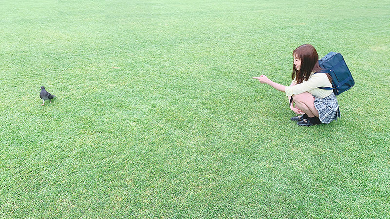 サンプル画像 20