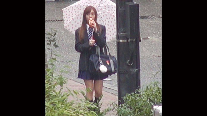 サンプル画像 2