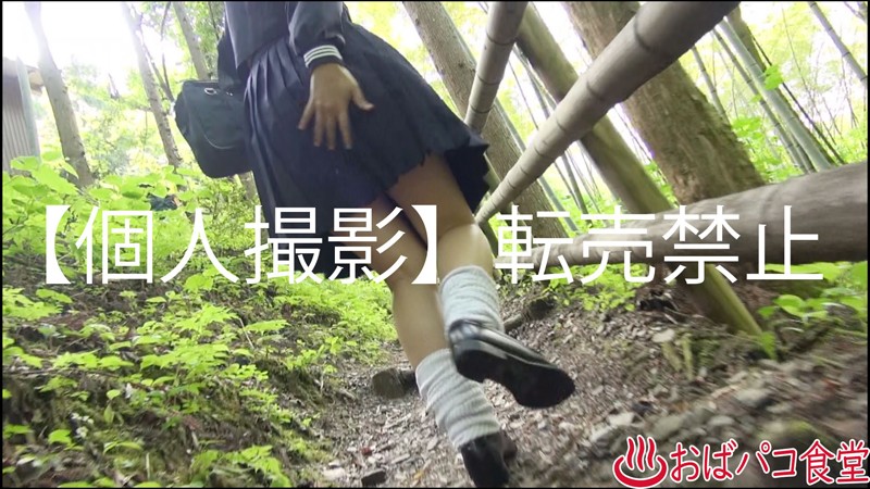 サンプル画像 6