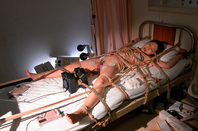 サンプル画像 8