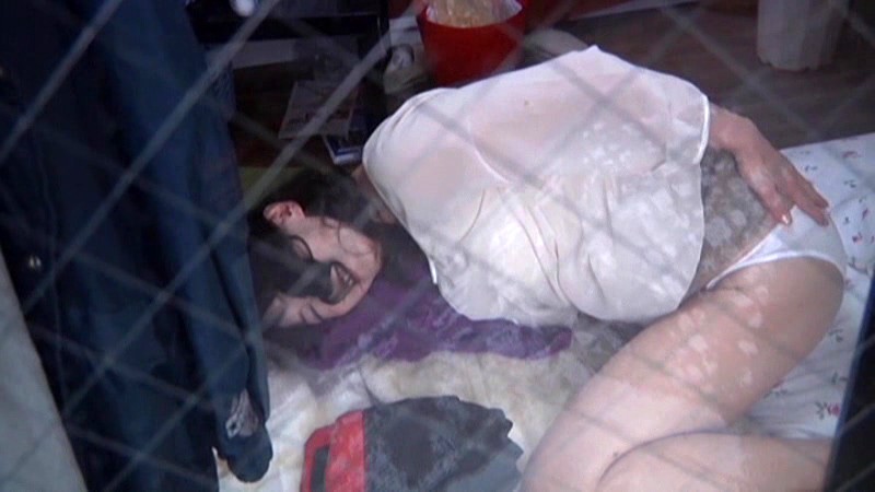 サンプル画像 5